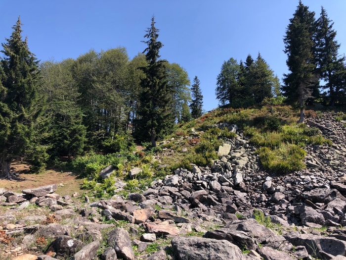 Зелёное озеро, Грузия, высота 2200 метров