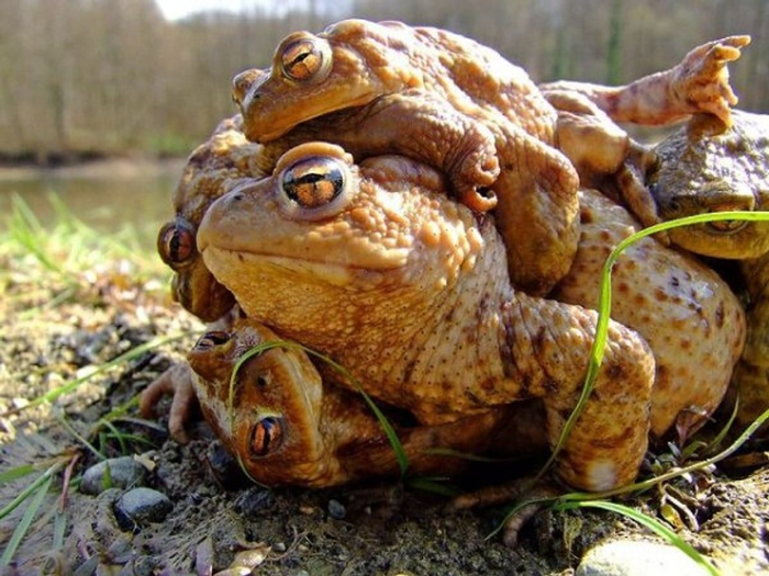    ,        .         ,    .      .