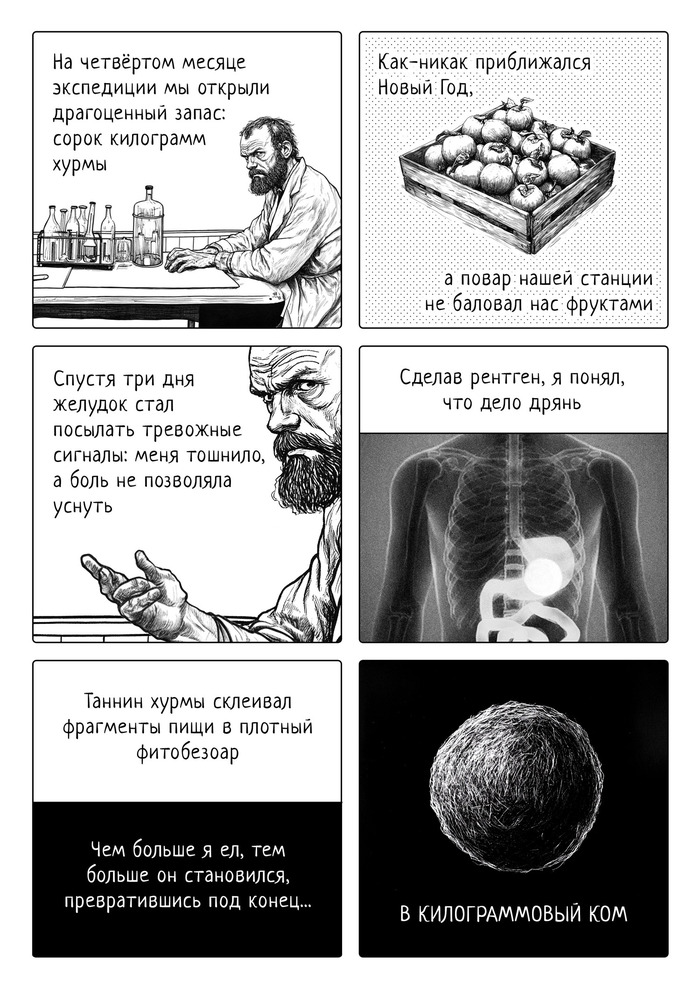  ,  ,  , Telegram (), , Zemkash