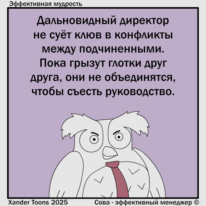         -  , Xander Toons, , , , , 