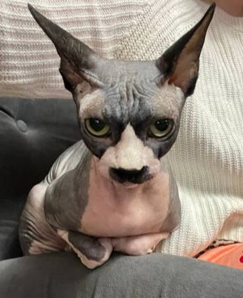    , , , , , 
