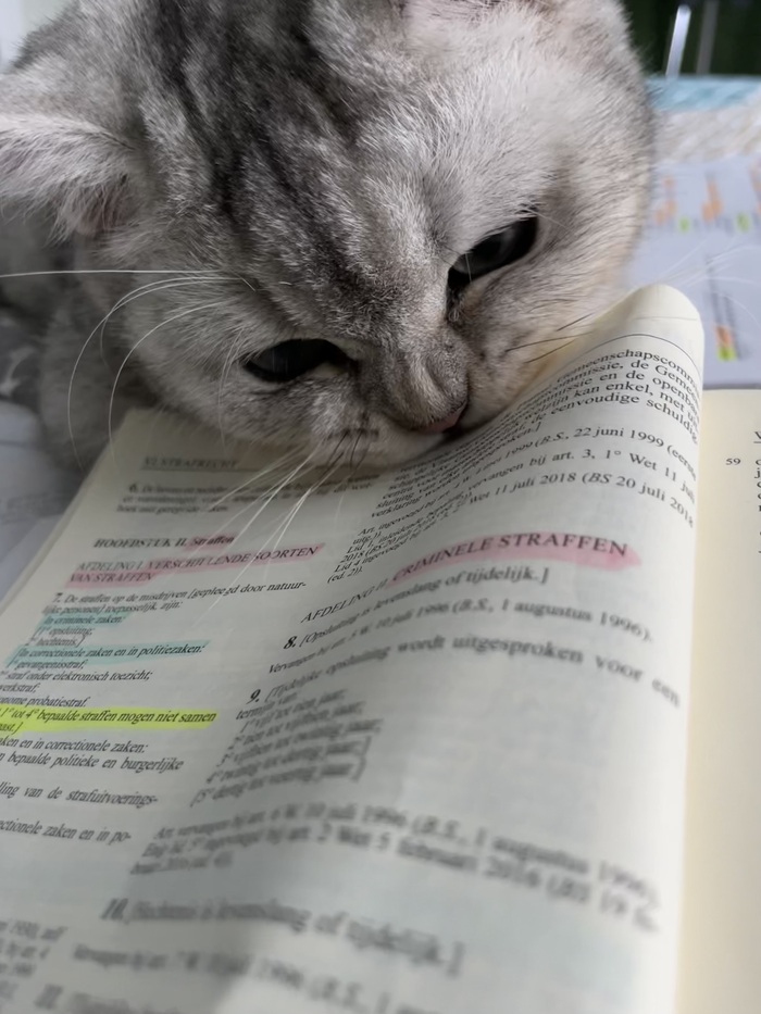 �������� ��� ������� ������ �����