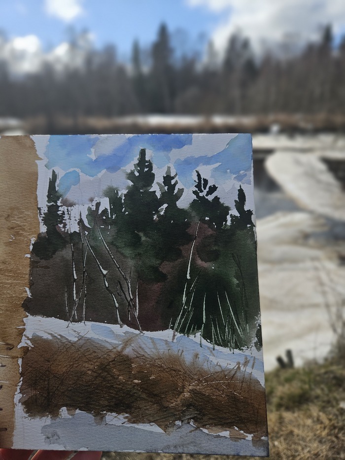 ������/��������19×13 �� 