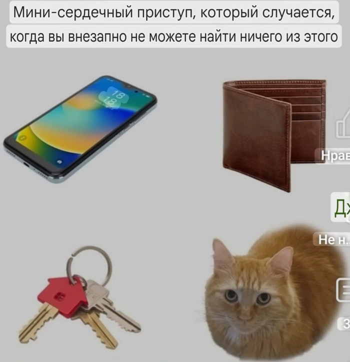  ,    , ,   , , , , , 