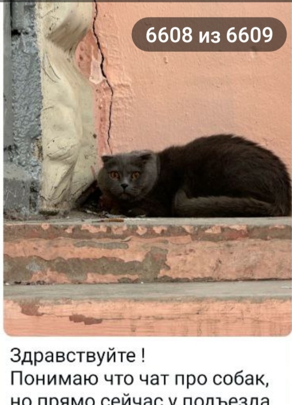    .    ,  ,   , ,  , ,  