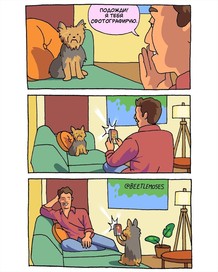        , , , , , Beetlemoses