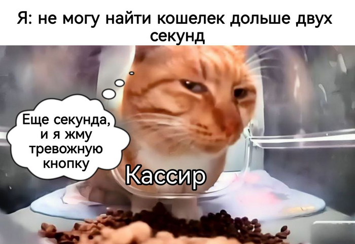       , , , ,  , , ,  