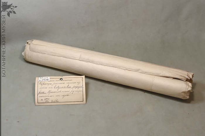     ,         ().      .