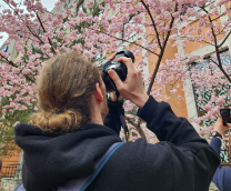 ��� ������