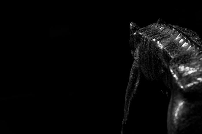 Dark