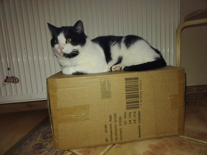 ��� ����� ��������� ���� ��� �� �������