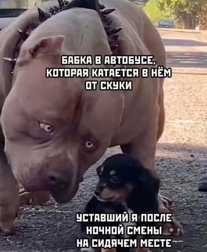       , , , , ,   , , , ,   ,   ,  