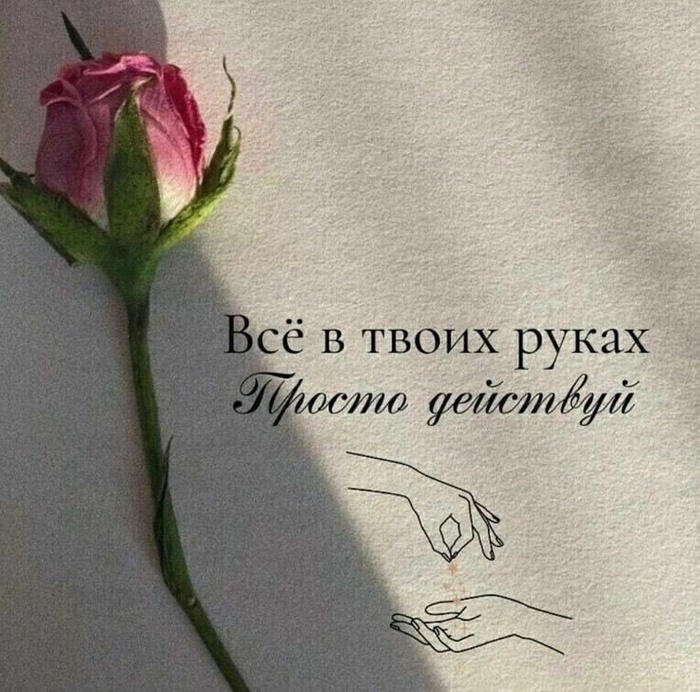 5       ,       , , ,  ,   , 