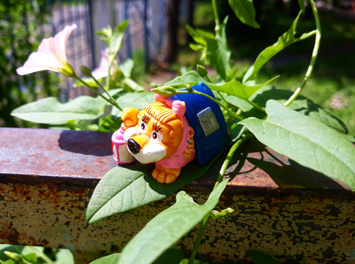   8  ,   / The Great Leoventuras  -