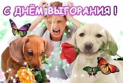 ���������� ����