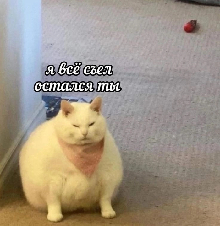 Это не булка, это целая буханка :D