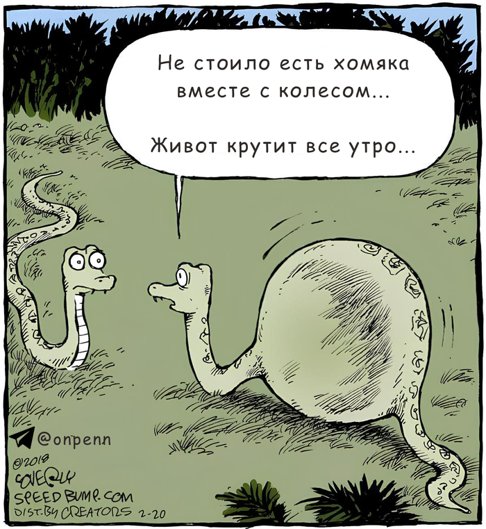  , , , , Speedbump