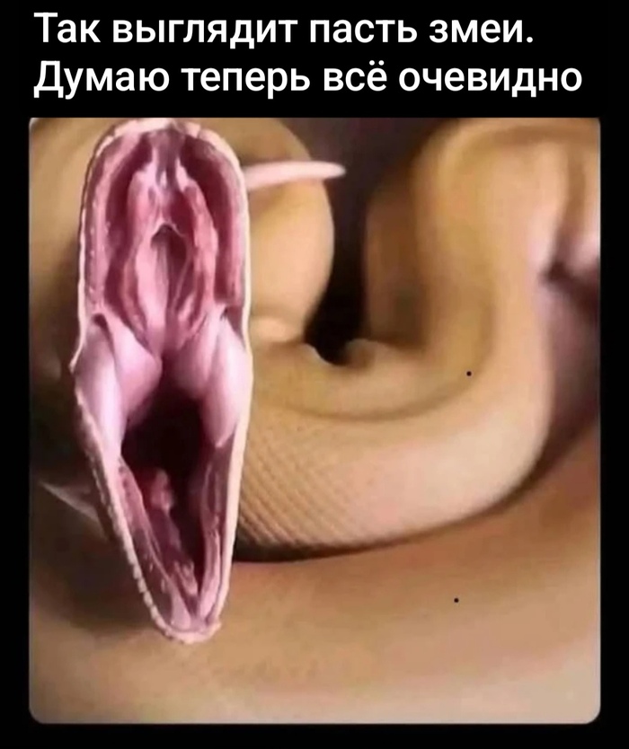    ,   , , Telegram (), , , , 