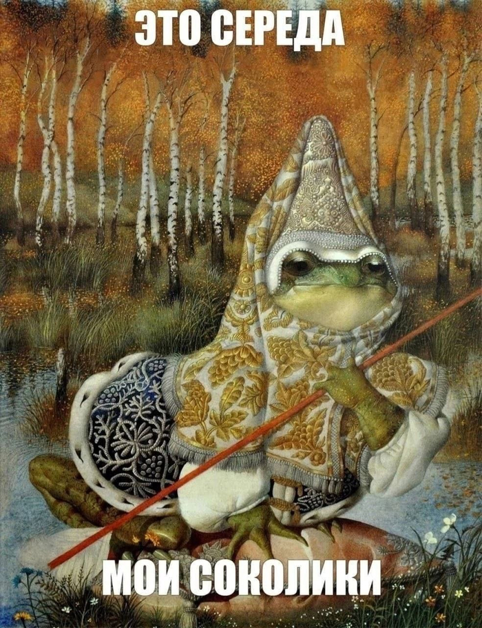  ,   , , , It Is Wednesday My Dudes, ,   
