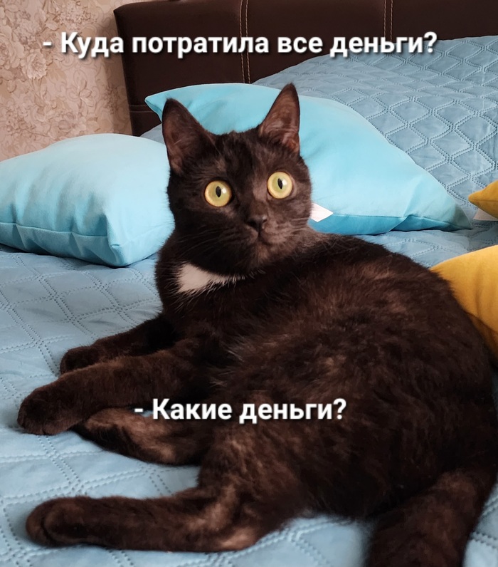 Удивленный взгляд