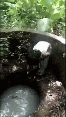       , , , 