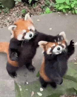     ,   , , , 