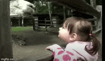     ,   , , , 
