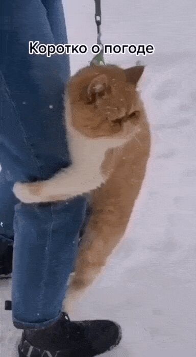   , , , 