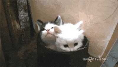   , , , 