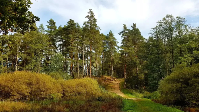  ,      2012 ,      ,        