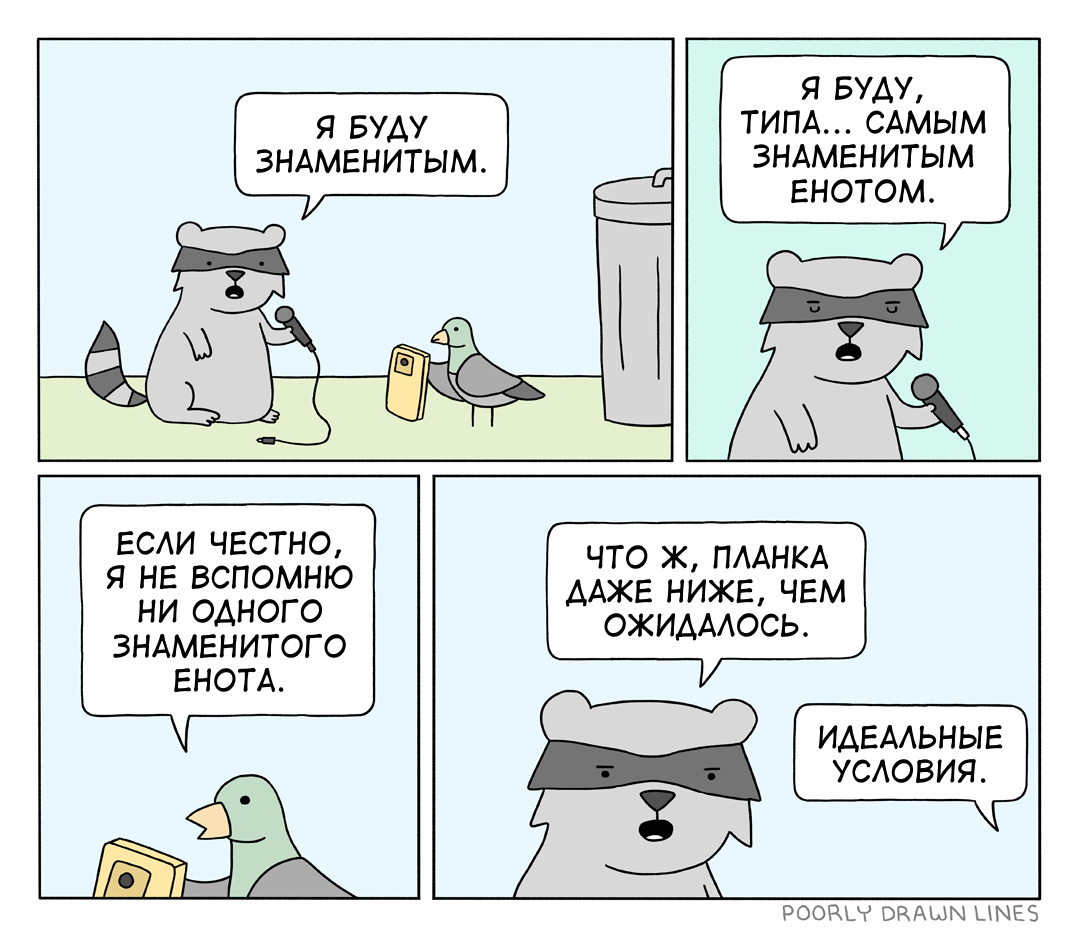 Знаменитый енот