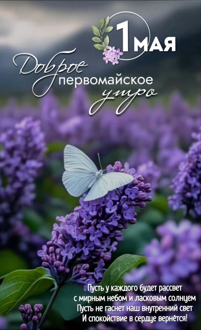 Доброе утро!