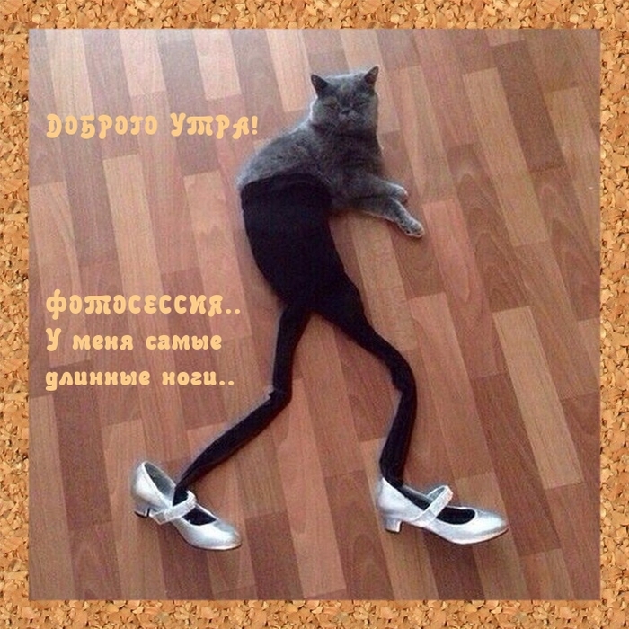    ? , , , ,   , , 