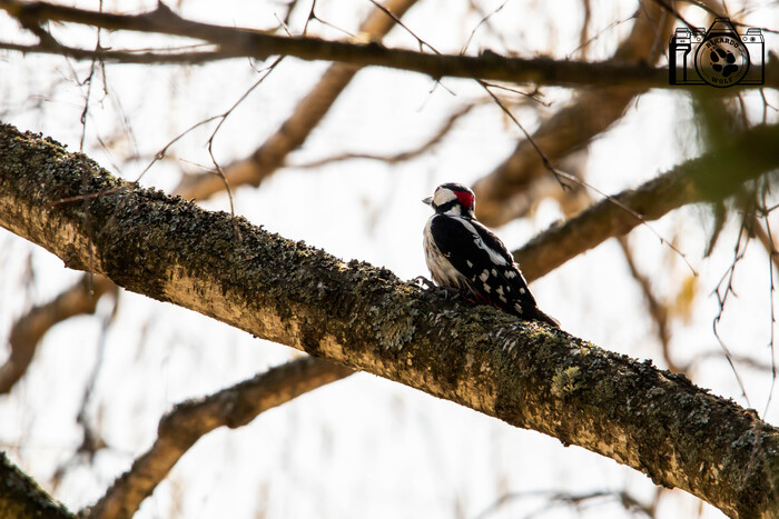 ���! ����! ���! ���� ������ ��� ������!