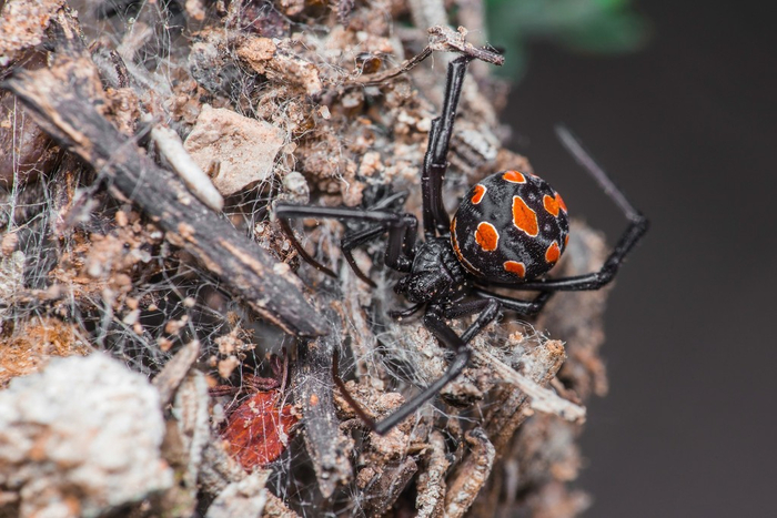       ,      !   :    ,     .