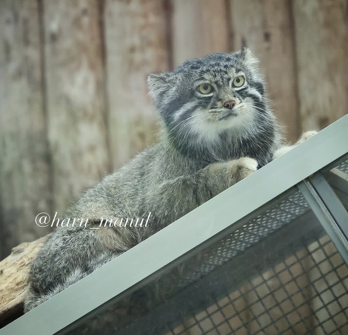 Так, ну и что там?
