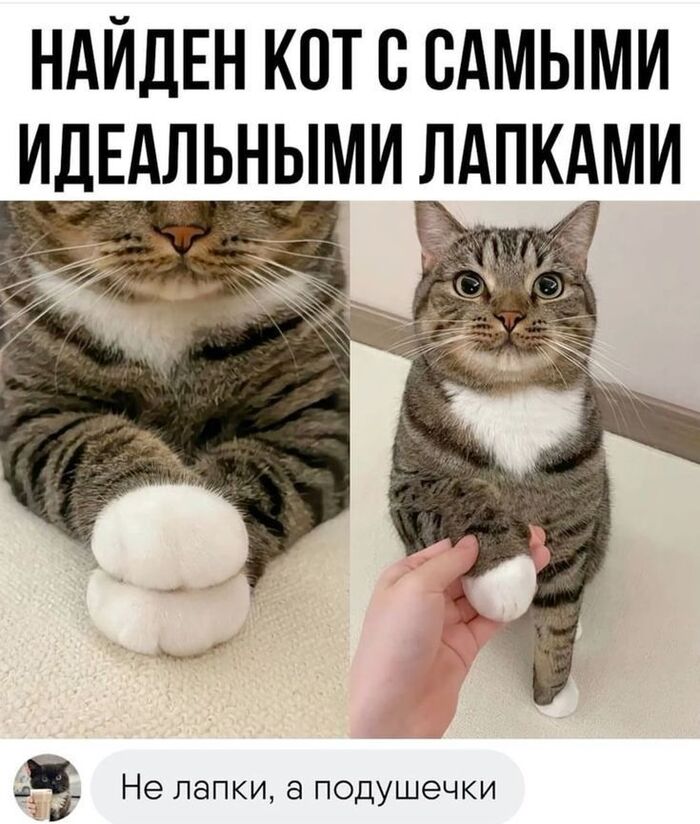 Утро должно начинаться с чего то хорошего