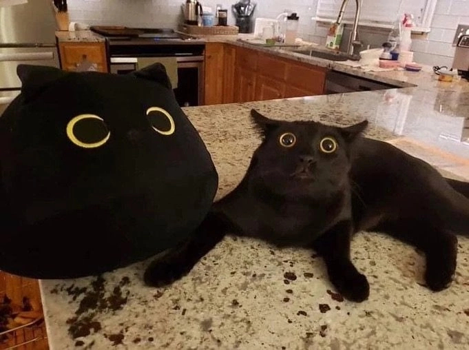  ""    ,  , ,  ,  , ,  , , ,  , , 