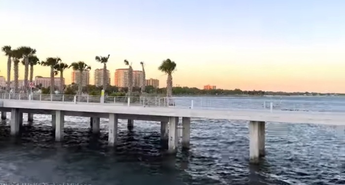 �����-���������. ���� �������.