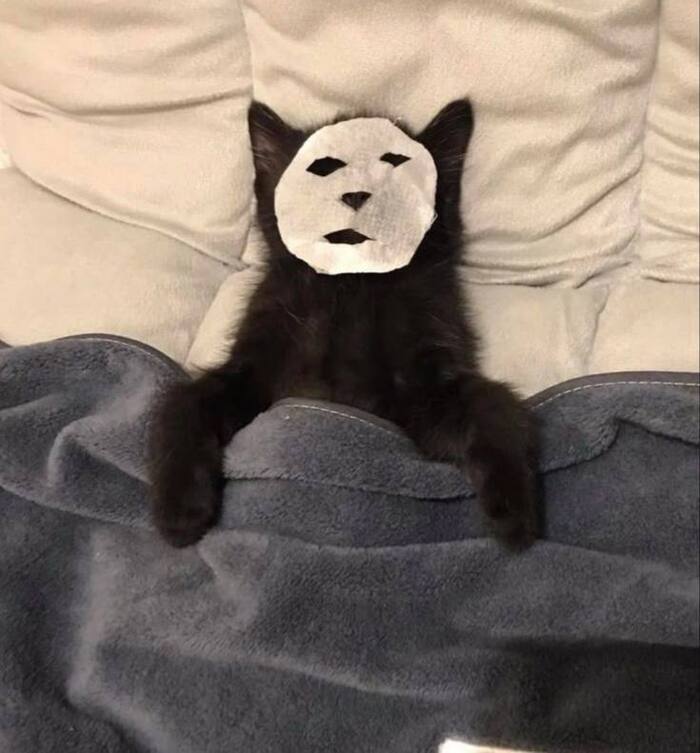 Сегодня отмечается самый лучший день — Международный день ничегонеделания