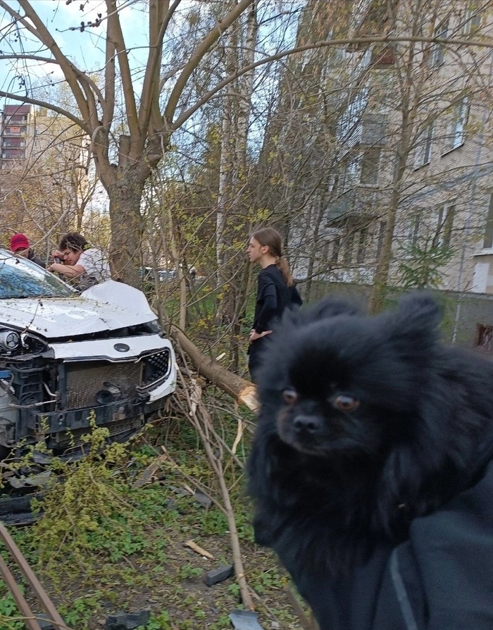 �� ��� ����������