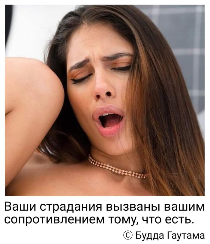  -  ,  , 