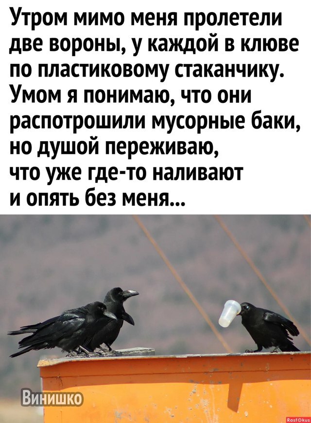 Опять без меня ...