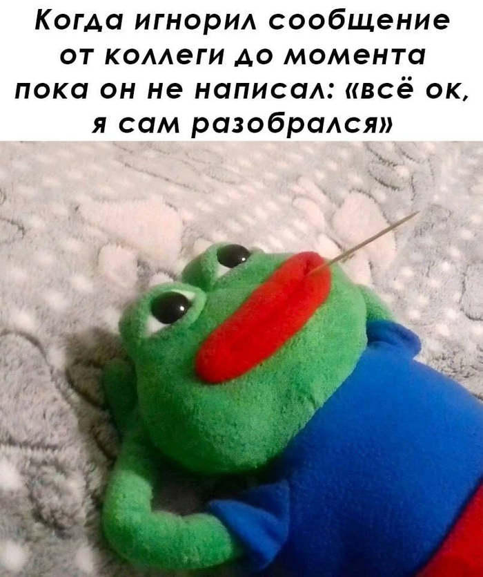  ,       IT , , , , Telegram ()