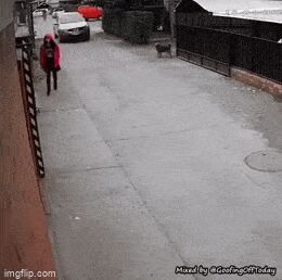   , , , 