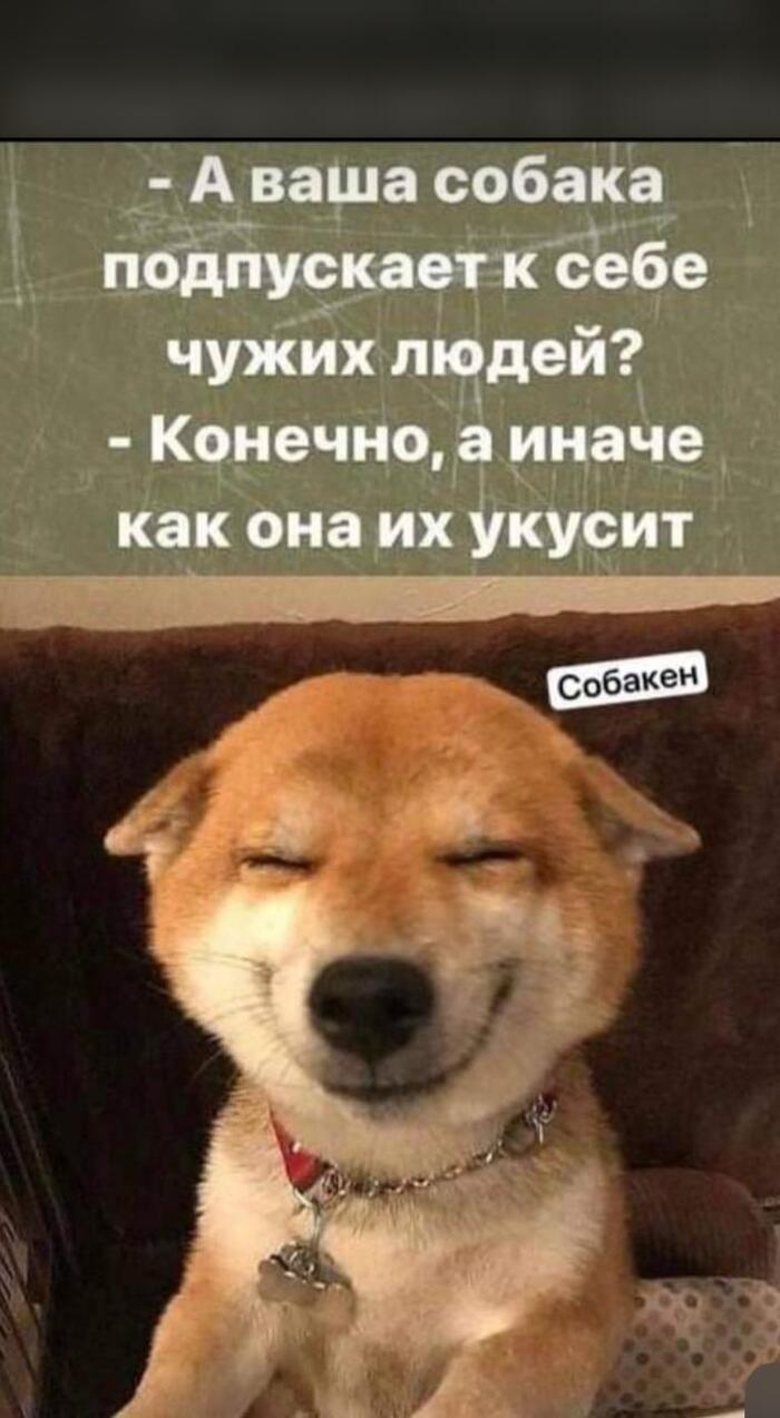Доверие - наше всё
