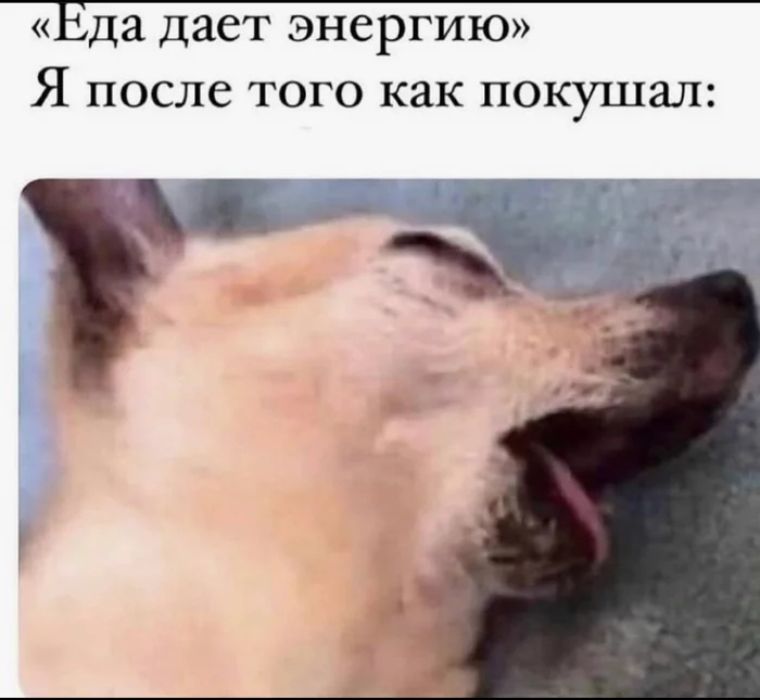 ��� ��� ������� � ����