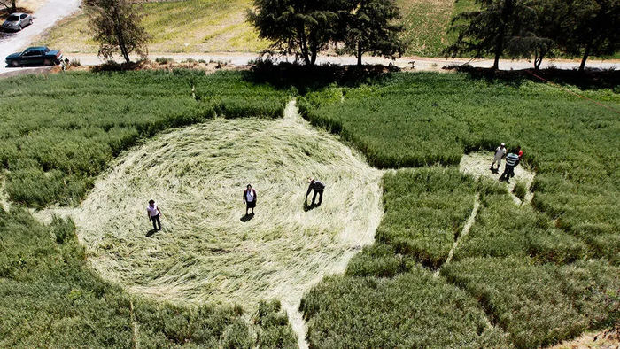 Пример воздействия микроторнадо