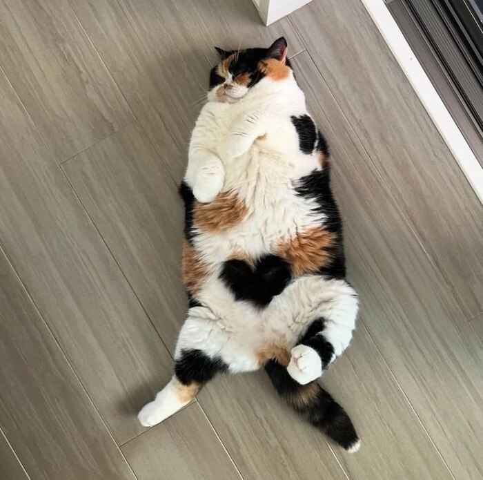    .   , 