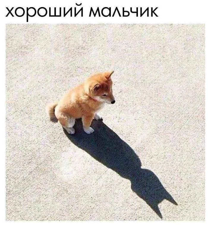 Этому городу нужен